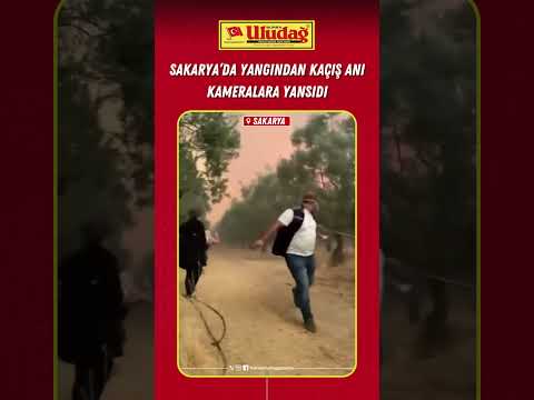 Sakarya'daki yangın kameralara yansıdı #sakarya #yangın