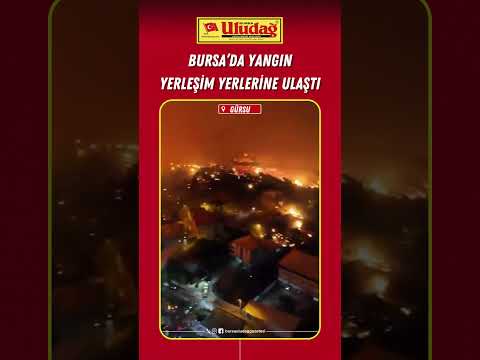 Bursa'daki yangın yerleşim yerlerine ulaştı #bursa #yangın #gürsu