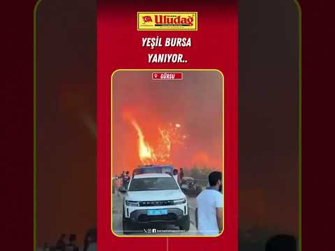 Gürsu'da yangın! Bursa yanıyor..  #bursa #haber #yangın