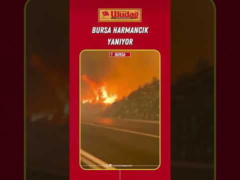 Bursa Harmancık yanıyor!  #bursa #yangın #harmancık