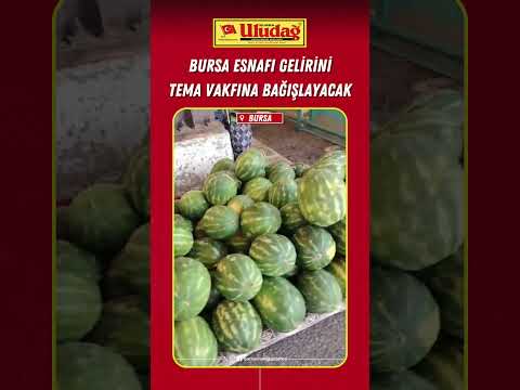 Bursa esnafı gelirini TEMA vakfına bağışlayacak #bursa #esnaf #yangın