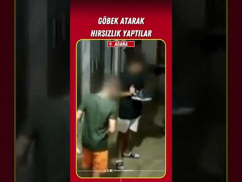 Göbek atarak hırsızlık yaptılar #adana #haber