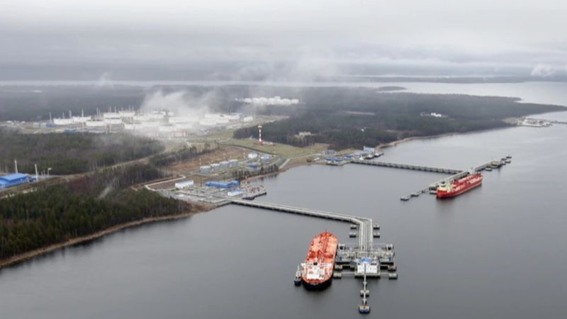 Primorsk Limanı drone saldırısına uğradı