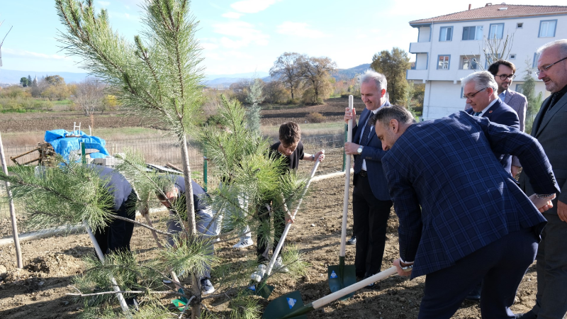 İnegöllü gençlerden anlamlı hareket: Yanan ormanlara 32 fidanlık can suyu