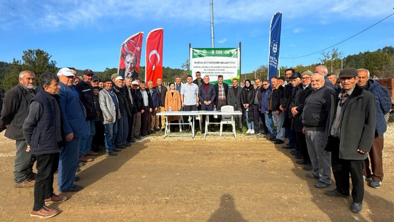 Bursa’da hayvan yetiştiricilerine yüzde 100 hibeli yem desteği